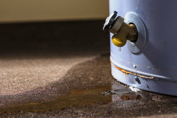 Best Water damage cleanup near me  in Rainier, OR
