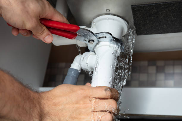 Best Basement water damage restoration  in Rainier, OR