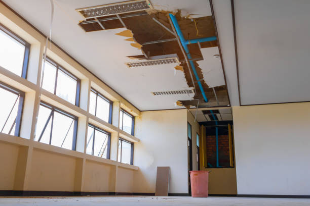 Best Emergency water damage restoration  in Rainier, OR