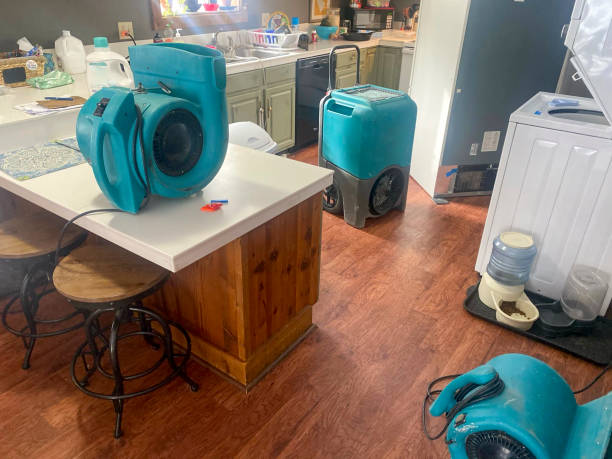 Best Water damage restoration near me  in Rainier, OR