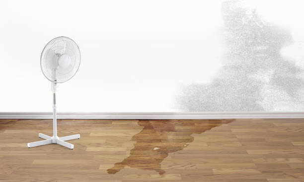 Best Flooded house restoration  in Rainier, OR
