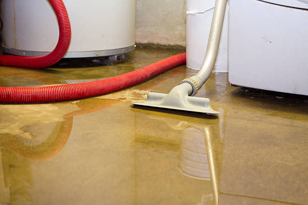 Reliable OR Water damage restoration Solutions