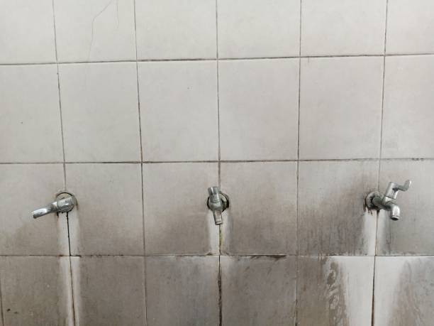 Best Residential water damage restoration  in Rainier, OR