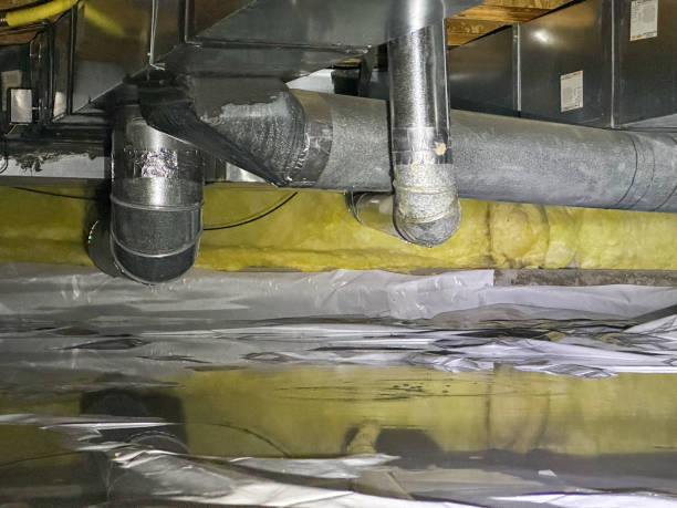 Best Water damage restoration near me  in Rainier, OR