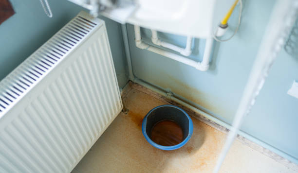 Best Local water damage restoration  in Rainier, OR