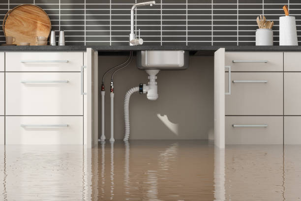 Best Sewage cleanup and water damage restoration  in Rainier, OR